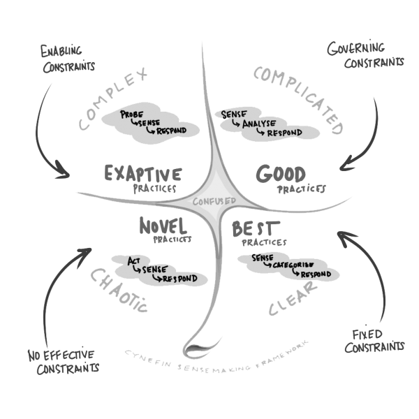 Cynefin framework